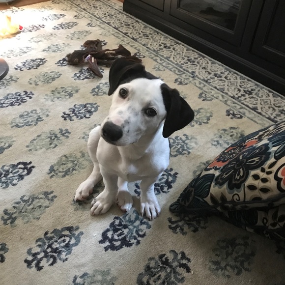 Meet your Posher, Susan - Picture 2 of 3